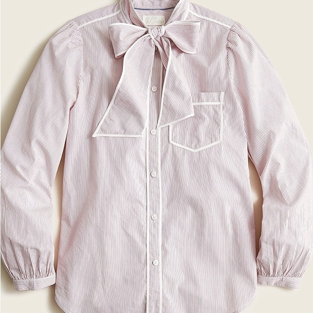 J. Crew Striped Tie Neck Poplin Pink and White Shirt - Picture 10 of 10